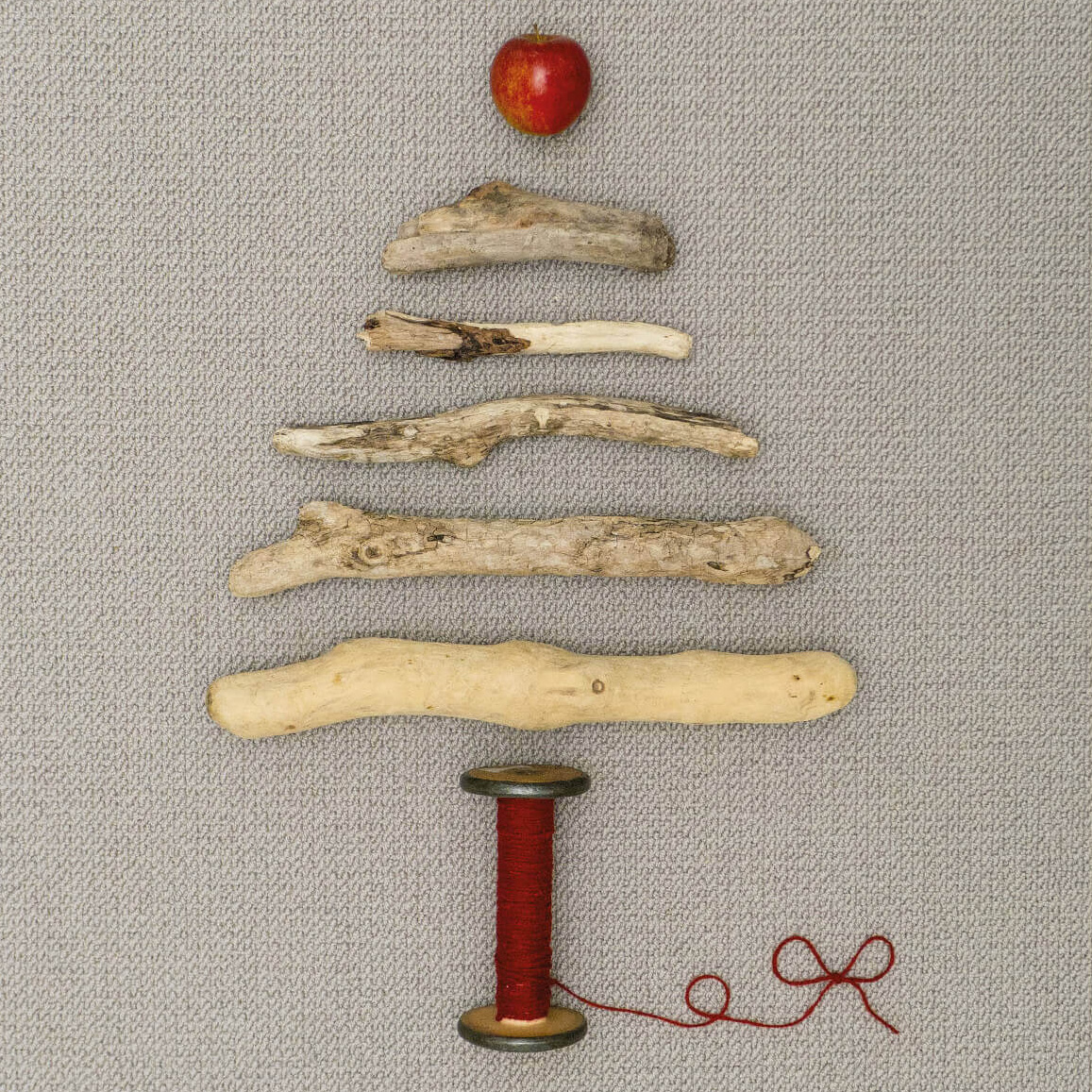 christmas_tree_photo